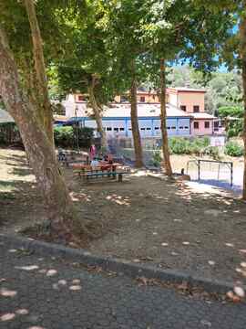 pacug 1 (7)